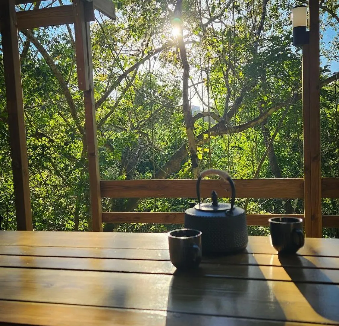 Konokora Ecolodge 상트 안느